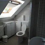 Pávai