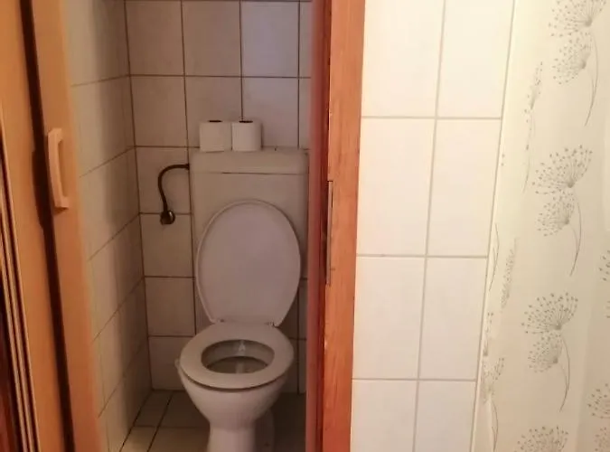 Pávai *